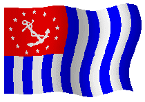 usps flag
